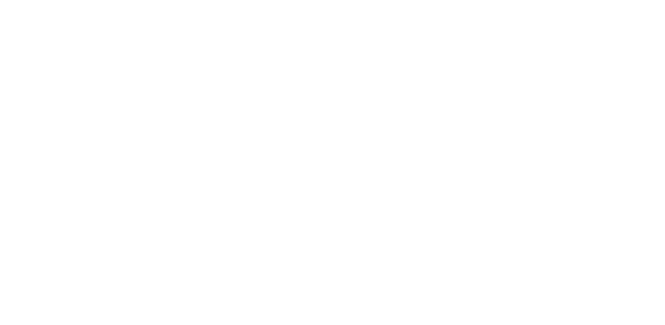 Arena Bakarni